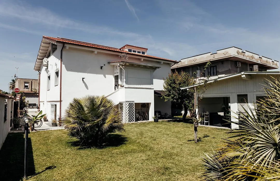 Capitani Airport Fco-1